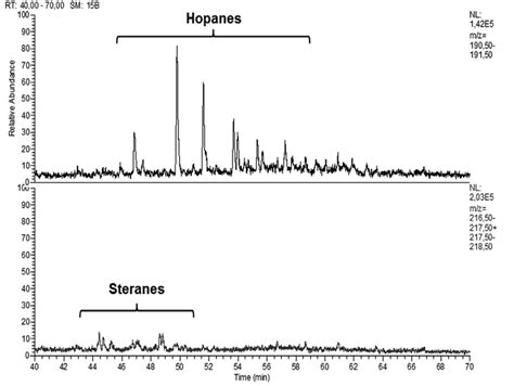 Gcms Chromatograms For Steranes And Hopanes M Z