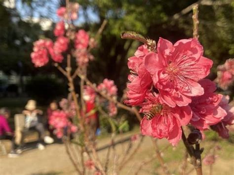 今明兩天廣州部分地區有回南天 新浪香港