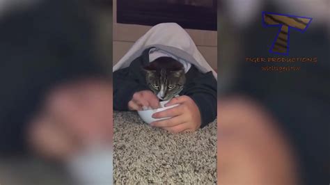 Hairy Pussy Funny Xnxx