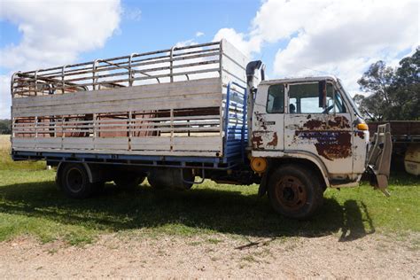 Lot Isuzu Ft Tray Truck With Cattle Crate Auctionsplus