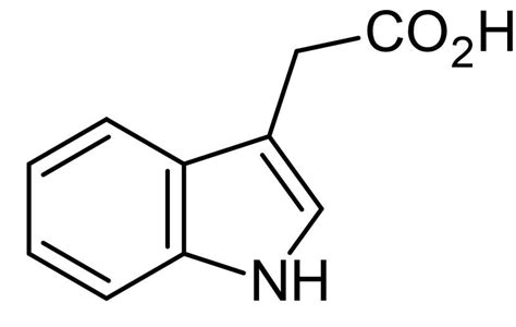 3-Indole acetic acid (IAA), Natural phytohormone (CAS 87-51-4) (ab146402)