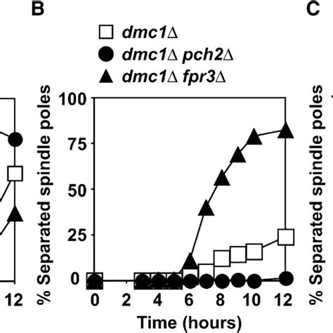 Distinct Functions Of Fpr3 And Pch2 In The Recombination Checkpoint