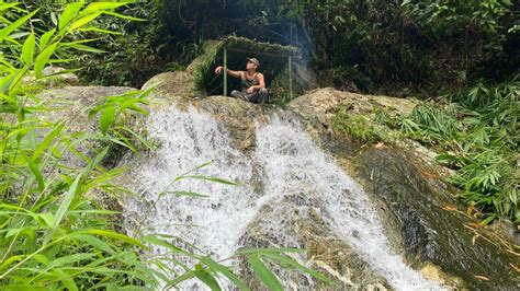 Find Wild Bamboo Shoots Make A Tent Boil Them And Eat Them On The