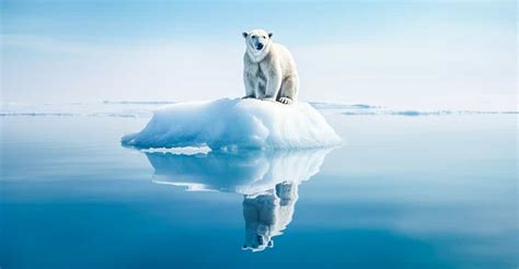 Quelles sont les causes et les conséquences de la fonte des glaces