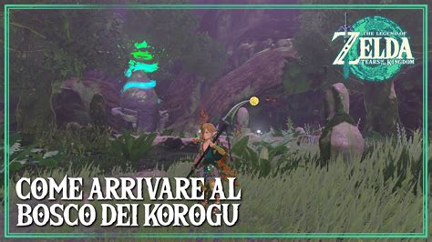 Come Arrivare Al Bosco Dei Korogu Zelda Tears Of The Kingdom Youtube