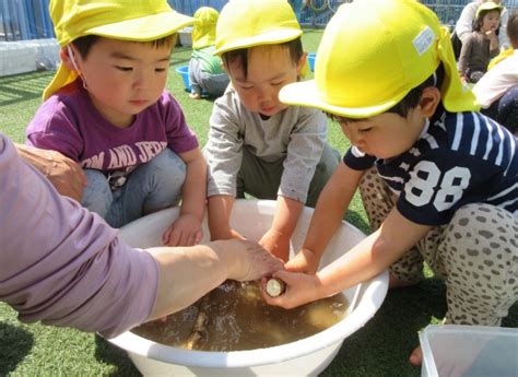 ～食育～ごぼう、人参洗い｜たんぽぽ 海神町南保育園｜たんぽぽ｜ほいくえんブログ｜alsok介護株式会社 認可保育園（こどもの家・たんぽぽ）