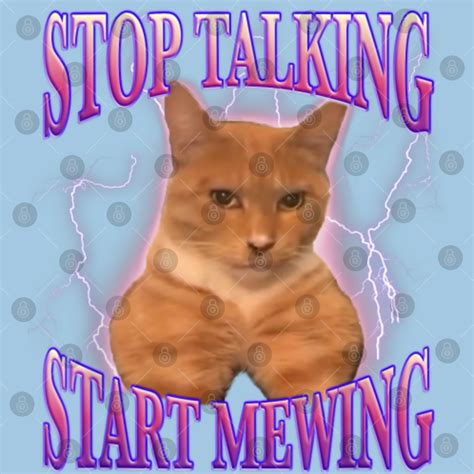 Trend Funny Cat Stop Talking Start Mewing Looksmaxx Meme Trendy Gift