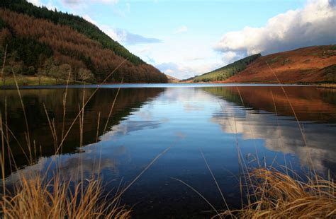 Lake View Free Stock Photo Public Domain Pictures