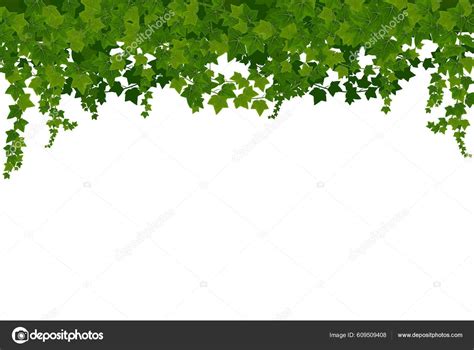 Fondo Lianas Hiedra Con Hojas Verdes Dibujos Animados Vector Trepar