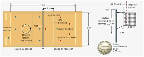 Terrain De Volley Ball Média Larousse