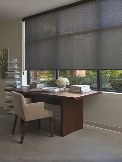 Hunter Douglas Designer Roller Screen Shade Austintatious Blinds And Shutters