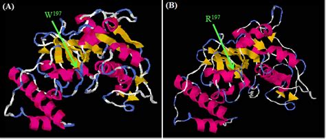 Figure 3 From Group 1 Allergen Genes In Two Species Of House Dust Mites