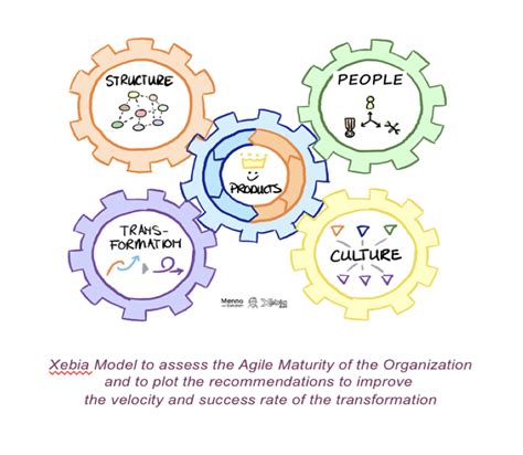 Starting A Successful Agile Transformation In 3 Steps