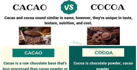 CACAO vs COCOA: Basic Difference between Cocoa vs Cacao - Confused Words