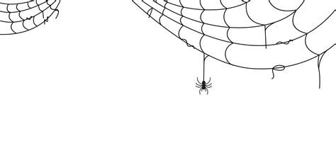 spider web for halloween design element 15014844 Vector Art at Vecteezy