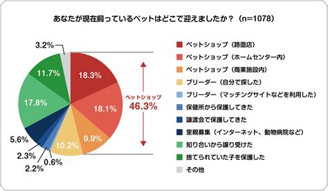 ペットとのライフスタイルに関する調査を実施～ペットを迎えて得られるものは「癒し」と「笑顔」～ ペット保険はプリズムコール®︎