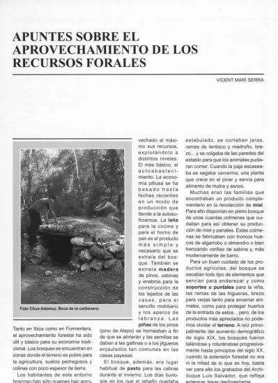 Apuntes Sobre El Aprovechamiento De Los Recursos Forestales