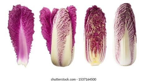 Types Of Purple Lettuce