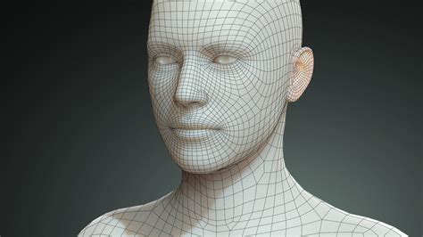 3D Character Base Mesh | Character Creator