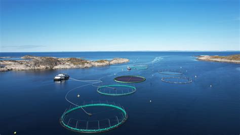 Floating Solar Tech For Aquaculture Pv Magazine International