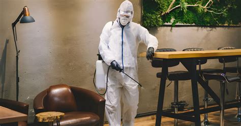 Pest Control For Restaurants Top Essential Tips