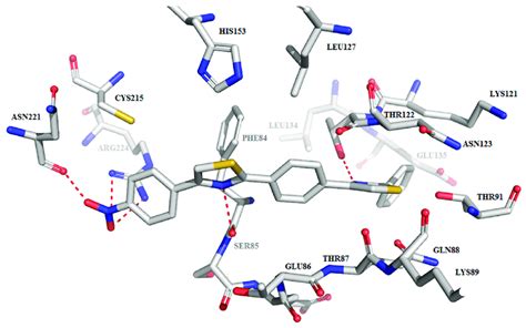 Compound C3s Predicted Binding Mode To The Active Site Of Efsrt29212 Download Scientific