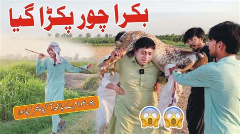 Bakri Chor Short Story Qurbani Ka Janwar Chori Ho Gaya Eid Ul Adha