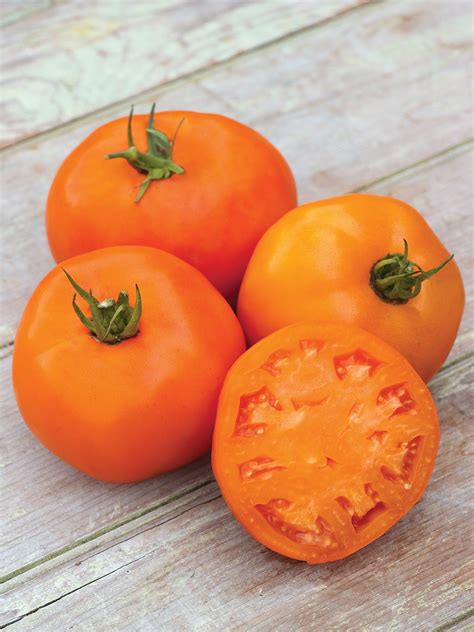 The 15 Best Beefsteak Tomatoes To Grow In 2023 Food Gardening Network