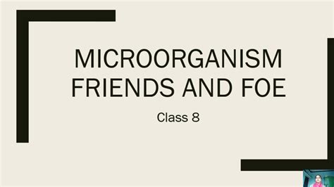 Microorganism Friend And Foe Class 8 Lecture 4 Class 8 Science Ch 2 Science Ncert Youtube