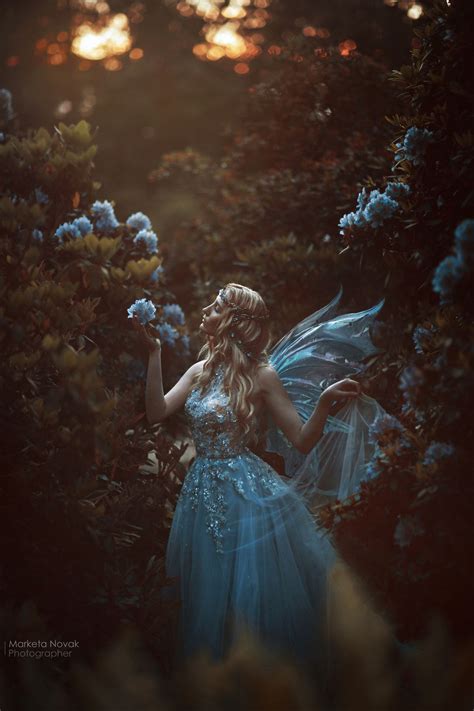 The Fairy Fairytale Photography Fairy In Sunset Fantasy Foto