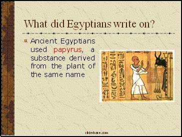 What Did Egyptians Write On