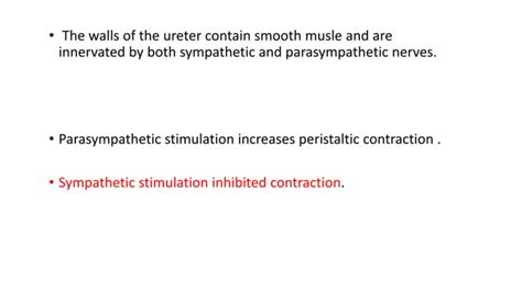 Micturition The Guyton And Hall Physiology Ppt