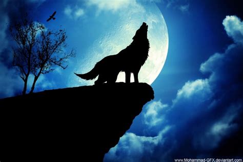 🔥 Wolf Moon Background Full HD Wallpaper Download | CBEditz