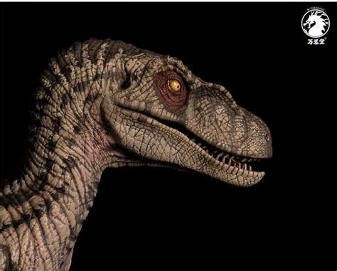 W Dragon Dinosaur Jurassic Park 3 Deinonychus Female Velociraptor 18