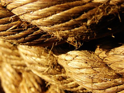 photo rope strong support tough   jooinn