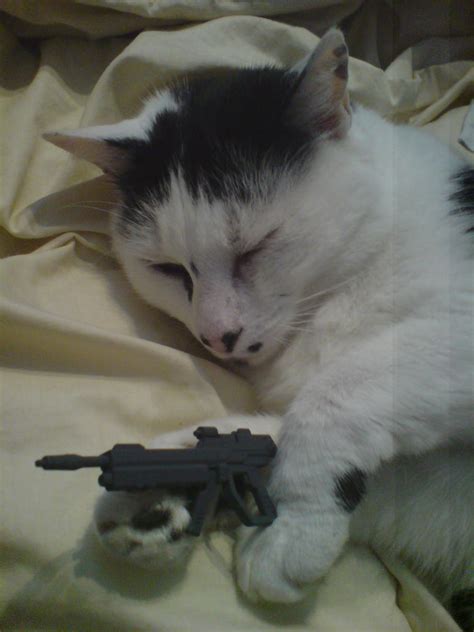 The Cat Machine Gun by EscaBowmer on deviantART