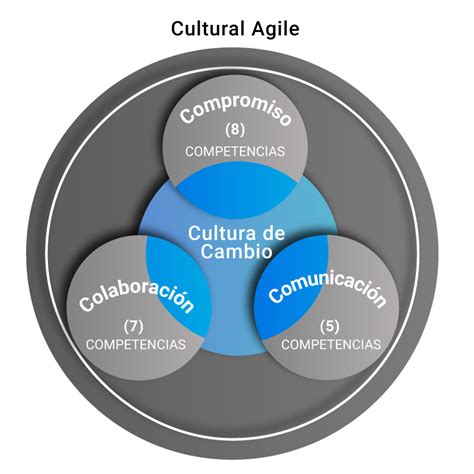 A Cultura Agil A Implantação De Framework