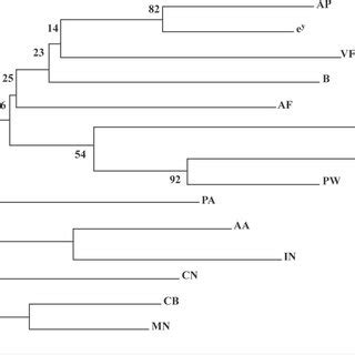 Neighbor Joining Dendrogram Based On Nei S Genetic Distance Aa Blue