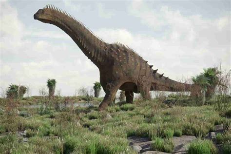 Long Neck Dinosaur With Spikes On Its Back Spiky Armored Sauropods