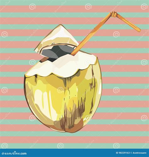 Vector Coconut Hand Drawn Sketch Watercolor Vector Tropical Food