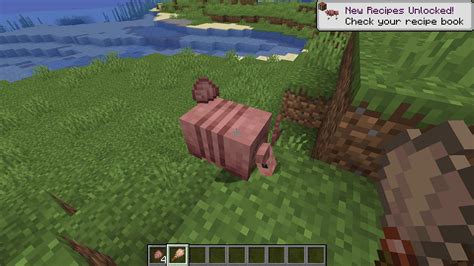 What Does Armadillo Do In Minecraft