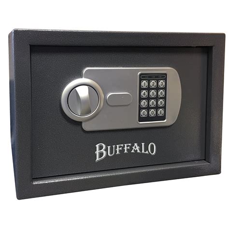 Sportsman Buffalo Outdoor Pistol Key Lock Safe Box | Wayfair.ca