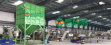 Automatic Cashew Nuts Processing Line MEKONG TECHNOLOGY VIETNAM