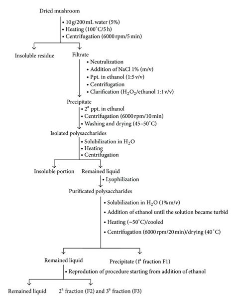 Flowchart Of The Extraction Isolation Purification And Fractionation Download Scientific