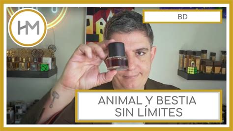 BD MALLO PARFUMS RESEÑA ESPAÑOL YouTube