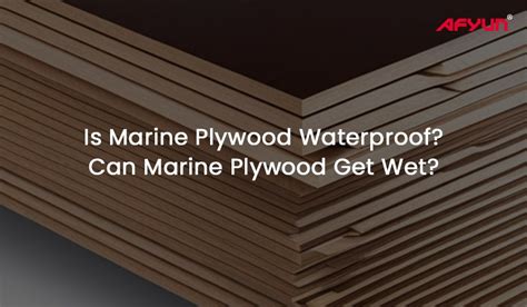 Is Marine Plywood Waterproof? Can Marine Plywood Get Wet?