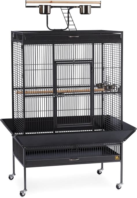 The 13 Best Parrot Cages Buying Guide & Comparison