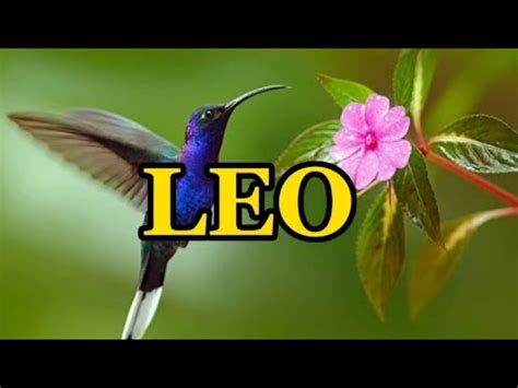 LEO ES LA PERSONA INDICADA LLEGA PARA QUEDARSE MARCARÁ TU VIDA HAY