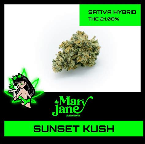 Sunset Kush Strain A Cosmic Journey To Euphoria And Tranquility