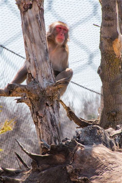 The Zoo in Sioux Falls, South Dakota is a Family Friendly Attraction ...